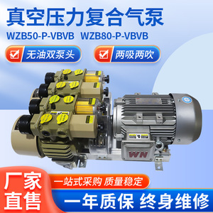 ปั๊มลมสุญญากาศแบบคอมโพสิต Isge Wzb-P-Vbvb 22 ลบ.ม./ชม. แบบไร้น้ำมัน หัวคู่ สำหรับงานพิมพ์ - Product Image 5