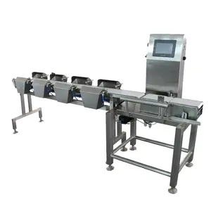 Industrial Stainless Steel Fresh Sea Food Weight Sorter Machine with High Accuracy Check Weigher for Sorting Fish and Crabs