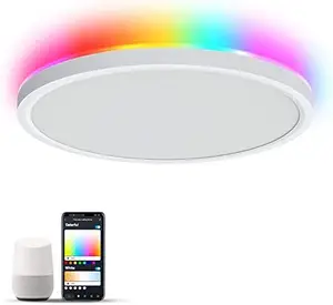 Tuya Alexa Google Assistance Modern Led Smart Light 24W RGB Bedroom ceiling lamp Round Flush Mount Light