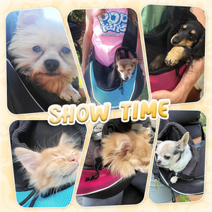 Free sample Customized Portable Pet <b>Carrier</b> Bag Carry <b>Dog</b> Puppy Travel BagDog Bag Pet <b>Sling</b> <b>Carrier</b> for Outdoor Single Shoulder - Product Image 6