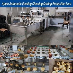 Commerciële appelontpitter en -schilmachine, automatische fruitwas- en schilmachine, <span class=keywords><strong>mango</strong></span>-appel-fruit schilmachine met transportband - Product Image 3