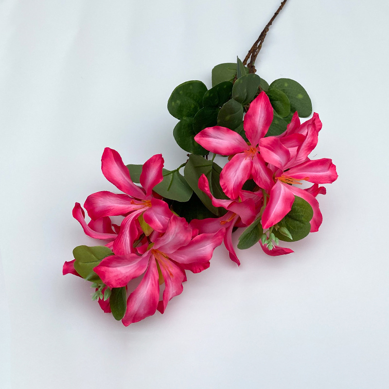 Jasmine flower jn-rose red