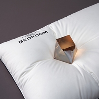 Oreiller en duvet de plumes d'oie de la collection hôtelière avec logo personnalisé pour dormir, taille King, oreiller à soufflets, insert d'oreiller de lit