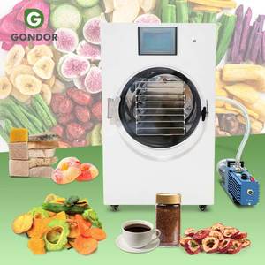 Oil <strong>Free</strong> Pump Household Freeze Dryer Freezing Dry Lyophilizer Scientific Instant Coffee <strong>Drying</strong> <strong>Machine</strong> - Product Image 1
