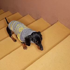 Pakaian hewan peliharaan rajut modis lembut, pakaian hewan peliharaan untuk kegiatan dalam dan luar ruangan, pakaian hewan anjing peliharaan - Product Image 2