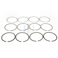 Pièces de moteur Yunnei D20TCIE Segment de piston 10048002 Spécifique pour Changan Hunter F70 Peugeot Landtrek Fiat Titano Pickup