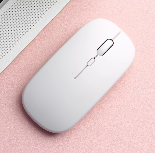 Bianco-2.4G-BT