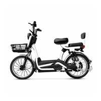 Vélo Électrique Tout-Terrain Sportif 20 Pouces à Cadre Bas 48V 20Ah Lithium Sans Balais Double Siège Panier Avant Commuting Adulte SeekFar