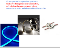 Module LED personnalisable IP68, options multicolores, garantie 5 ans pour les enseignes publicitaires