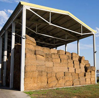 Abri à foin extérieur préfabriqué à structure en acier Abri pour chiens isolé Construction d'un hangar d'entrepôt agricole