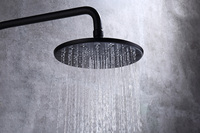 Ensemble de douche noir en acier inoxydable brossé à double poignée, colonne de douche avec jet doux effet pluie, design moderne