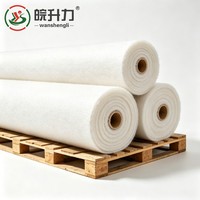 WSL Tissu géotextile à longs fibres pour la protection des talus de réservoirs et des pentes, anti-érosion et renforcement de construction