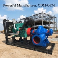 Pompe centrifuge à double aspiration en acier inoxydable haute pression efficace pour l'industrie minière, conception divisée, directement du fabricant