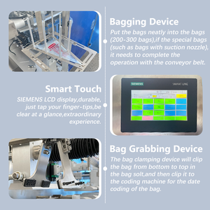 Small-<b>Scale</b> Machinery Used For Sauce Packaging And Tomato Juice Bag Filling - Product Image 6