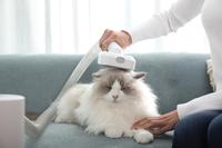Agent d'approvisionnement professionnel en Chine pour les achats en ligne sur Alibaba, couvrant les plateformes 1688, Taobao et Pinduoduo