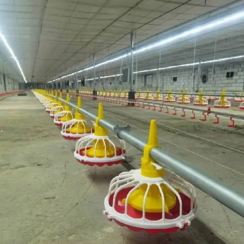 Automatic Feeding Line For Poultry Poultry Equipments Production Line Feeding Chicken Feeder Poultry Farm Animal Feeders