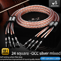 Câble audio à âme mixte OCC et argent, câble de haut-parleur HI-FI haut de gamme avec fiches bananes pour amplificateur, microphone et moniteur