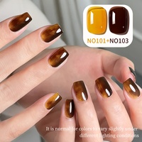 Vernis à ongles en gel UV XEIJAYI, 2 pièces, imprimé léopard, fournitures pour ongles en gel, sans HEMA ni TPO, norme européenne, vente en gros d'usine OEM/ODM