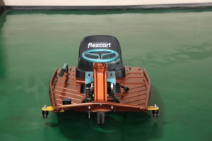 Go Kart Eléctrico Flexcart de 750W con Transmisión por Correa, para Adultos, Carga Máxima de 200 kg, Freno de Disco - Product Image 2