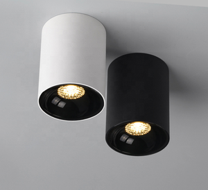 10w 15w 20w 30w 44w 50w 80W 100W IP65 plafonnier LED monté en surface 60w plafonnier haute luminosité ip66 - Product Image 2