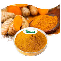 Extrait de Curcuma en Poudre de Qualité Alimentaire 95% Curcumine en Vrac – Fournisseurs d'Extraits Végétaux de Turmeric