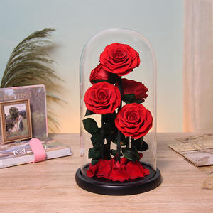 TC ฝาครอบแก้วดอกกุหลาบดอกไม้นิรันดร์ของขวัญวันวาเลนไทน์สำหรับผู้หญิงที่เก็บรักษาดอกไม้สำเร็จ - Product Image 5
