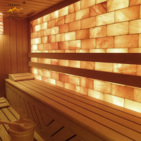 Tuiles de sel rose de l'Himalaya naturel pour usages multiples, briques de sel de l'Himalaya pour la décoration des pièces, carreaux muraux à prix avantageux