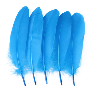 Vente en gros DIY Chapeaux de carnaval Plumes d'oie Décoration Plumes pour fête Enfant Vêtements <span class=keywords><strong>Accessoires</strong></span> Plumes blanches Vente <span class=keywords><strong>pas</strong></span> <span class=keywords><strong>cher</strong></span> - Product Image 6