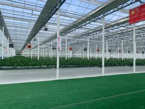 Progetto Chiavi in Mano per Serre Ecologiche con Struttura in Alluminio per Coltivazione Idroponica Verticale di Piante Medicinali - Product Image 2