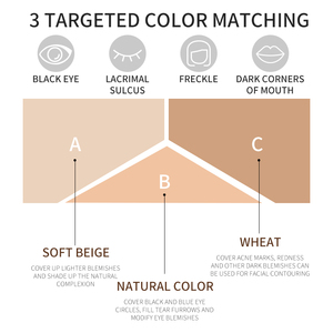 Vente en gros Correcteur de maquillage PIPL 3 couleurs Couvre les taches d'acné-Cicatrices-Peau sèche et grasse Fabricant d'équipement d'origine Correcteur de teint crémeux 3 en 1 direct d'usine - Product Image 5