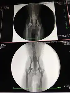 Bom preço veterinário hospital xray unidade fluoroscópia c braço radiologia máquinas