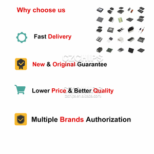 Seguro R0402RXX243XF16LTA SMD CZSKU:LH683HIN9 - Product Image 5