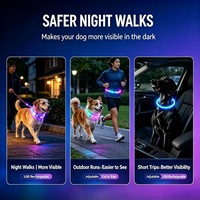Collier pour chien en fibre optique LED rechargeable par USB, découpable, double extrémité lumineuse, sangle de sécurité nocturne pour animaux de compagnie, pour chiens de petite, moyenne et grande taille
