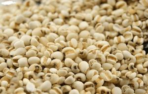 เมล็ดข้าวฟ่างเวียดนามราคาดีที่สุดในรูปแบบผงแห้ง ผลิตภัณฑ์อาหารเกษตรคุณภาพพรีเมียม อายุการเก็บรักษา 12 เดือน - Product Image 3