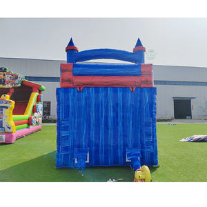 Tobogán Acuático Inflable Comercial para Jardín, Fiesta Tropical, PVC Iridiscente, Tobogán Acuático Inflable para Niños y Adultos con Piscina - Product Image 6