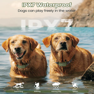 Ensemble de collier d'entraînement électronique étanche et rechargeable pour toutes les races de chiens Télécommande 4 modes de verrouillage de sécurité Contrôle des aboiements - Product Image 4