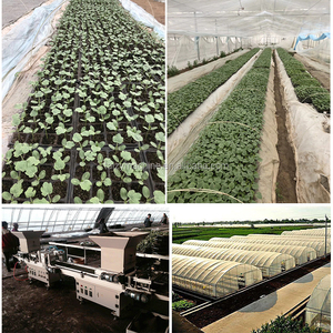 Semoir à plantes, planteur de graines, bac à semis de brocoli, machine à pousses - Product Image 3