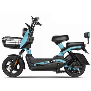 Vélo électrique 350W 48V à cadre en acier, 3 vitesses, avec moteur à moyeu arrière, batterie intégrée, freins à tambour et batterie au plomb-acide - Product Image 1