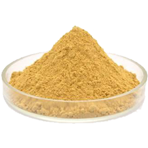 Us/Eu Magazijn Groothandel Natuurlijke Kruidenselderij <span class=keywords><strong>Extract</strong></span> 2.2% Vluchtige Oliën Selderijzaadoliepoeder - Product Image 3