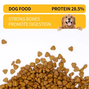 공장 무료 샘플 고 단백질 완전 건조 강아지 사료 프리미엄 유기농 쇠고기 맛 개 사료