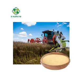 X-humate Amino Acid Vagetal Resource Amino Acid Fertilizer Agriculture 80% Amino Acid Powder