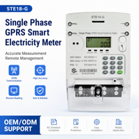 Meter Energi Cerdas 4G LTE Fase Tunggal DLMS Prabayar 230V Kelas 1 IP54 Layar LCD 80A IoT 0-999.9kWh Keamanan