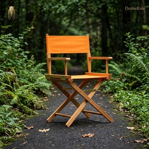 Silla de Director Plegable de Madera Maciza, Estilo Moderno y Minimalista, con Respaldo de Lona, para Campismo, Maquillaje, Fotografía y Accesorios - Product Image 1