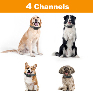 6000 Voeten Afstandsbediening Hondentrainingshalsband Oplaadbare En Waterdichte Hondentraining Hondenhalsband Met Schoktrillingen - Product Image 3