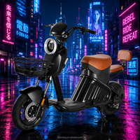 Trottinette électrique à assistance au pédalage 1000W 60V, moteur de moyeu arrière sans balais, batterie au plomb intégrée, pneu sous vide 14 pouces, double