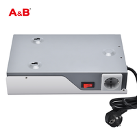 Convertisseur de tension automatique monophasé à onde sinusoïdale pure 1KVA800W 220V/230V 90-310V en cuivre avec régulateur de tension SVC et écran LCD