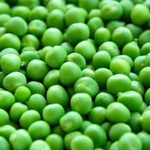 Haricots verts sucrés congelés IQF de haute qualité Produit d'exportation en gros à <span class=keywords><strong>prix</strong></span> compétitif - Product Image 3