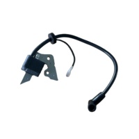 Bobine d'allumage haute performance certifiée CE pour générateur à essence 2-7KW, compatible avec moteur Robin EY20 5HP, 100% neuve