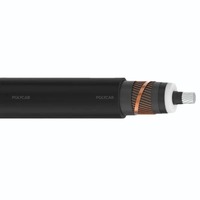 Cable de Media Tensión MVSCALXLPEASNZS de 3.8KV de Exportador Indio, Cable de Energía Confiable para Uso Industrial e Infraestructural en Venta