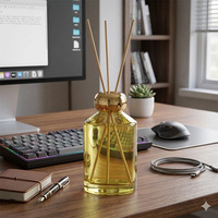 Bouteille en verre ambré moderne de 200 ml et 500 ml avec bâtonnets en fibre de rotin, diffuseur de parfum de luxe vide avec boîte